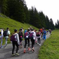Toucamp 2021