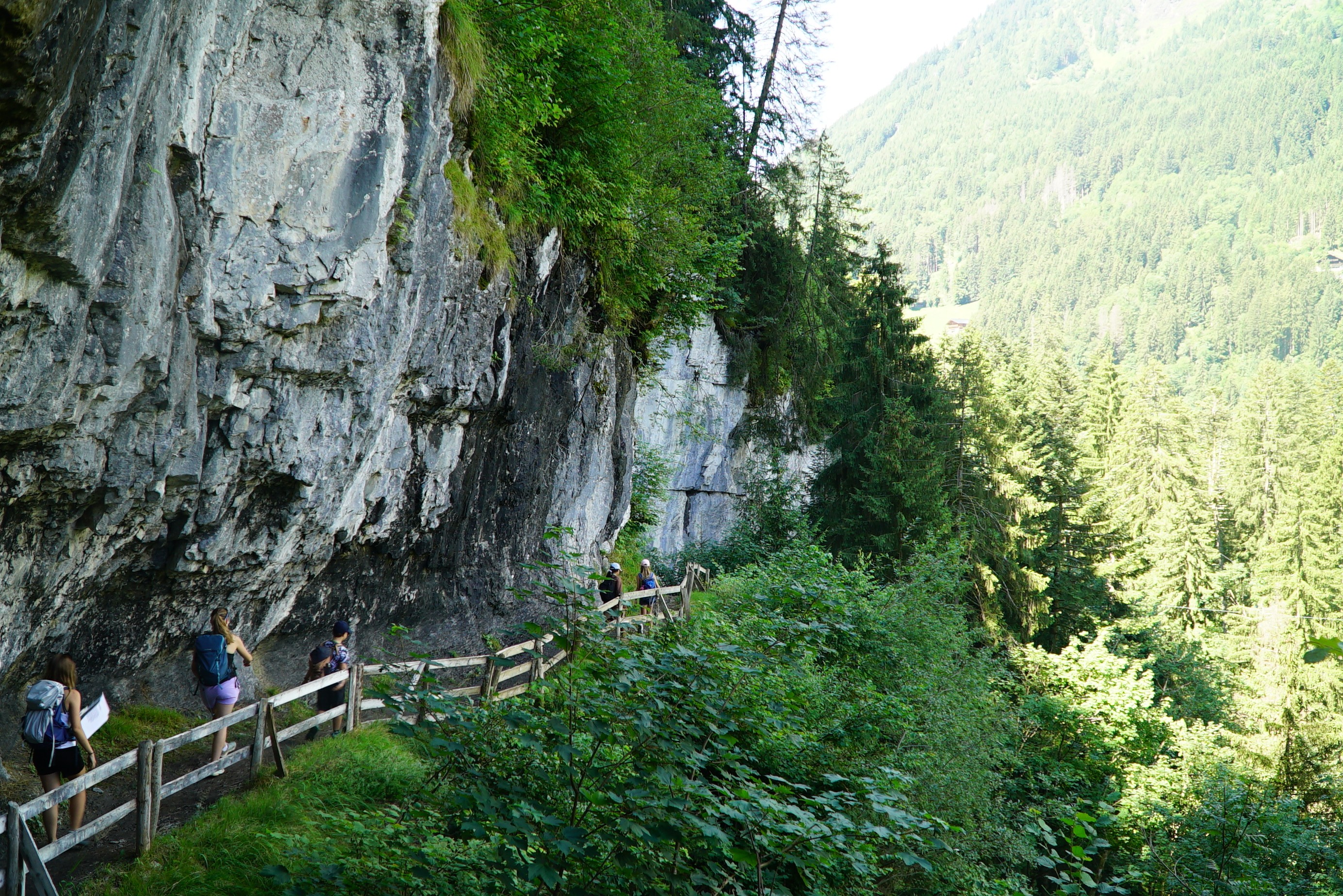 Dsc07780